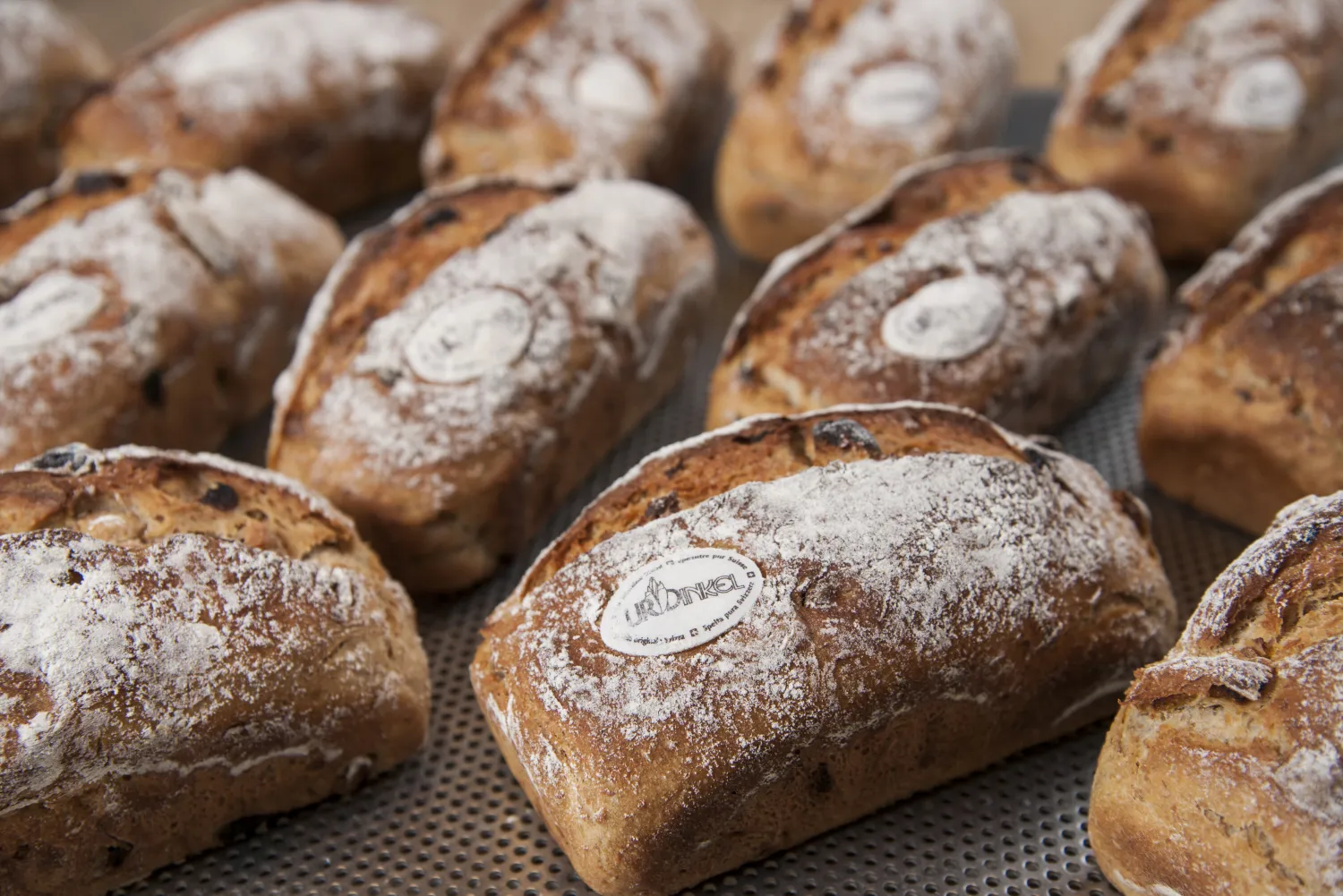 Cucina sostenibile: corso di pasticceria con farro puro